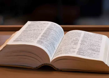 കേംബ്രിജ് നിഘണ്ടുവിൽ ഇടംപിടിച്ച് ജെൻസിയുടെ സ്കിബിടി, ഡെലൂലു വാക്കുകൾ