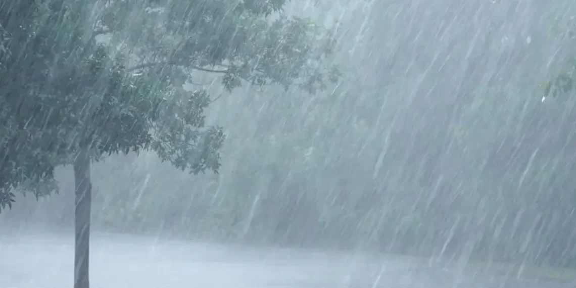 സംസ്ഥാനത്ത് തിങ്കളാഴ്ച വരെ മഴ തുടരും; അഞ്ച് ജില്ലകളിൽ യെല്ലോ അലർട്ട്