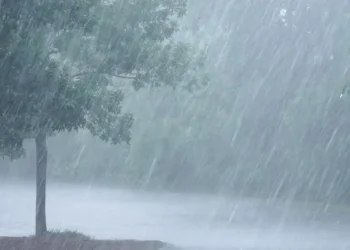 സംസ്ഥാനത്ത് തിങ്കളാഴ്ച വരെ മഴ തുടരും; അഞ്ച് ജില്ലകളിൽ യെല്ലോ അലർട്ട്